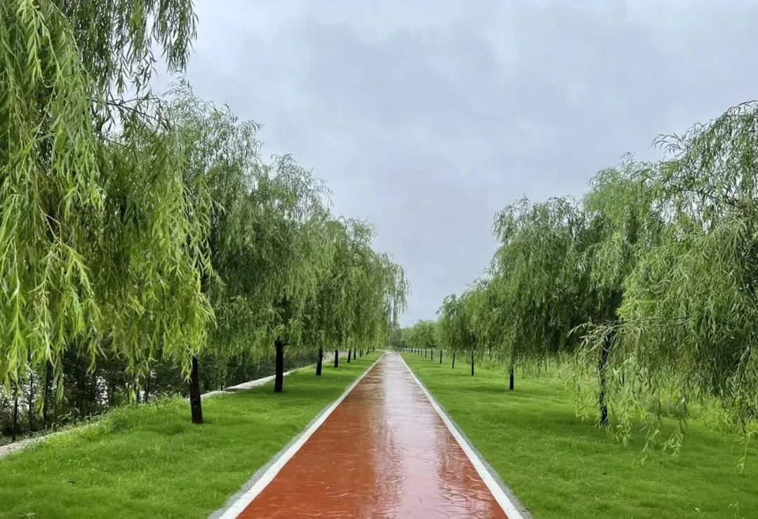 PT��Ѷ|һ������