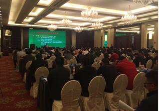 PT��Ѷ|һ������