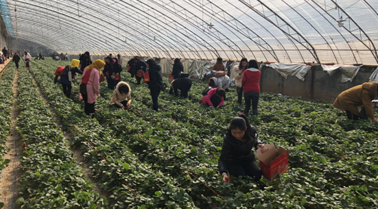 PT��Ѷ|һ������