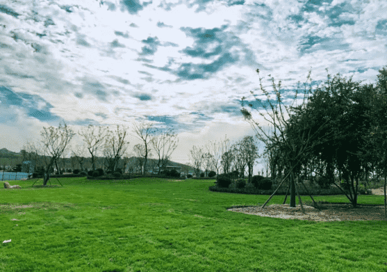 PT��Ѷ|һ������