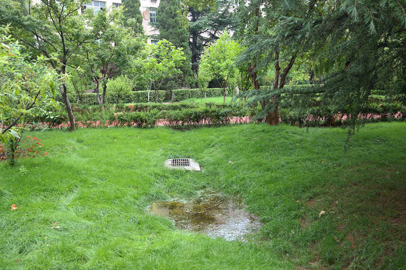 PT��Ѷ|һ������