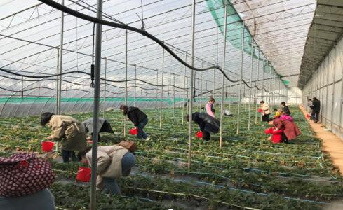 PT��Ѷ|һ������