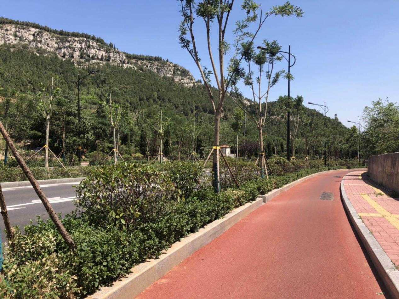 PT��Ѷ|һ������