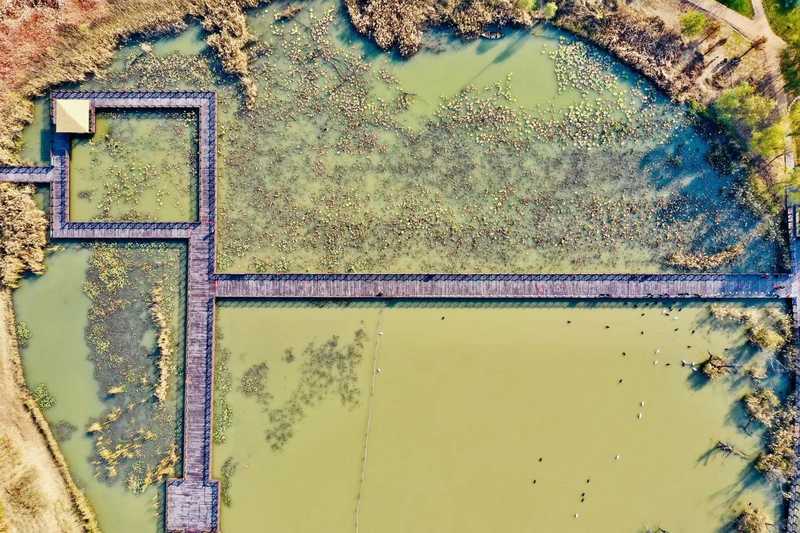 PT��Ѷ|һ������